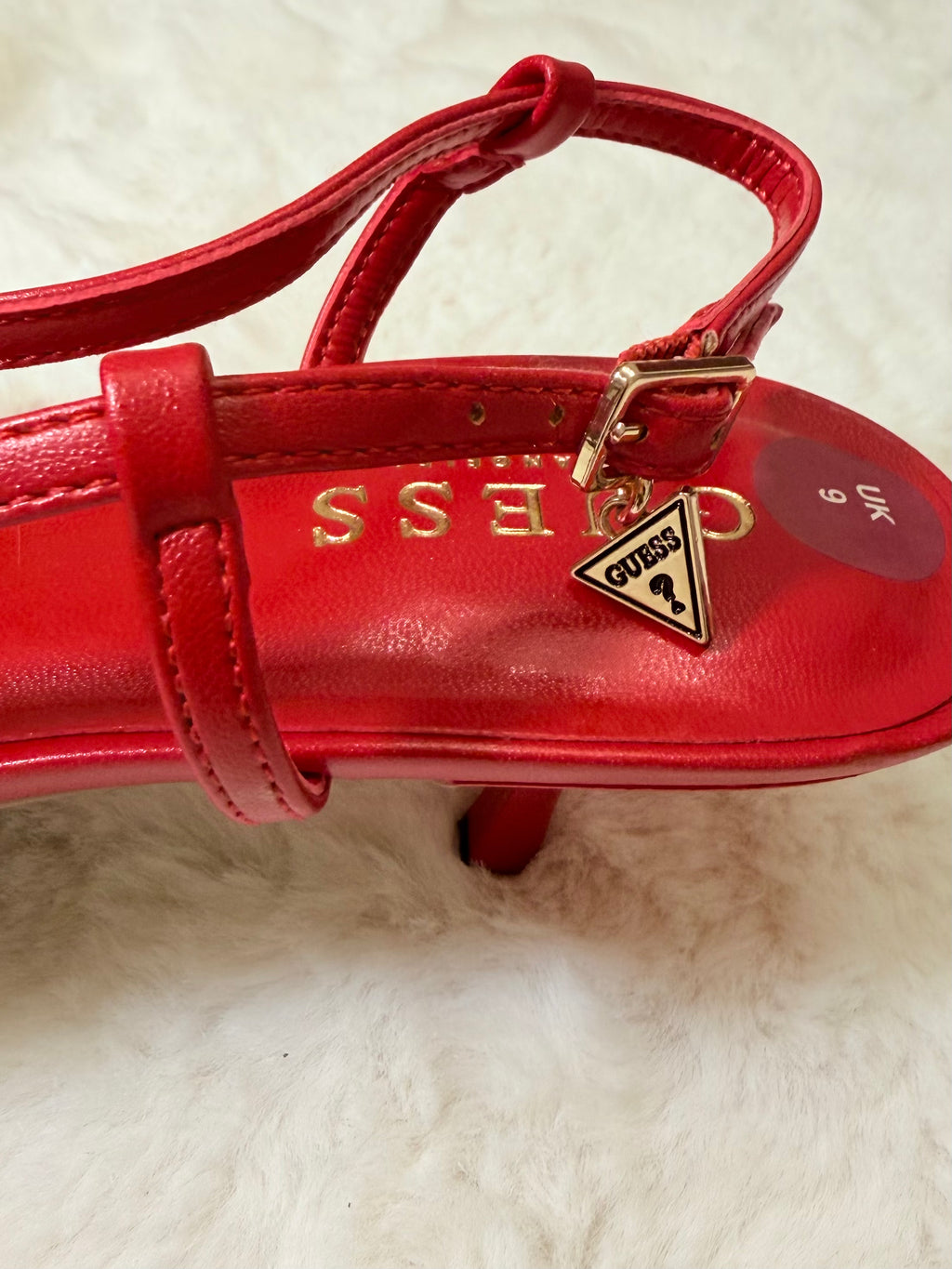 Red Elegant Guess
